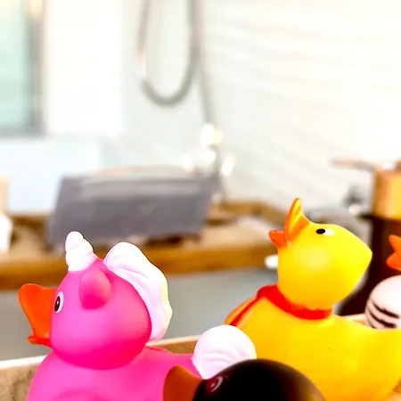 Gemelli-san Pietro-trastevere-casa Con Posto Auto * Roma